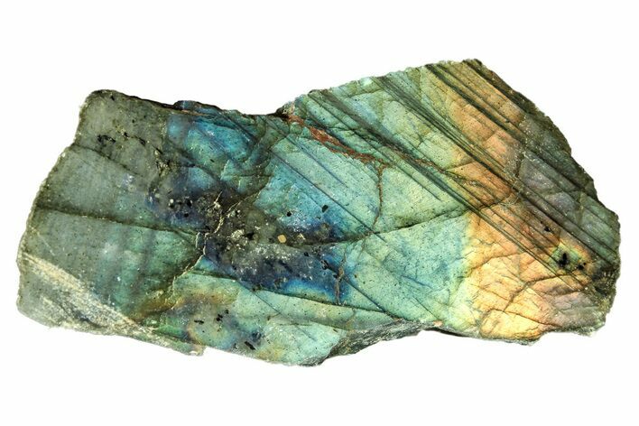 Single Side Polished Labradorite Slab - Madagascar #278201